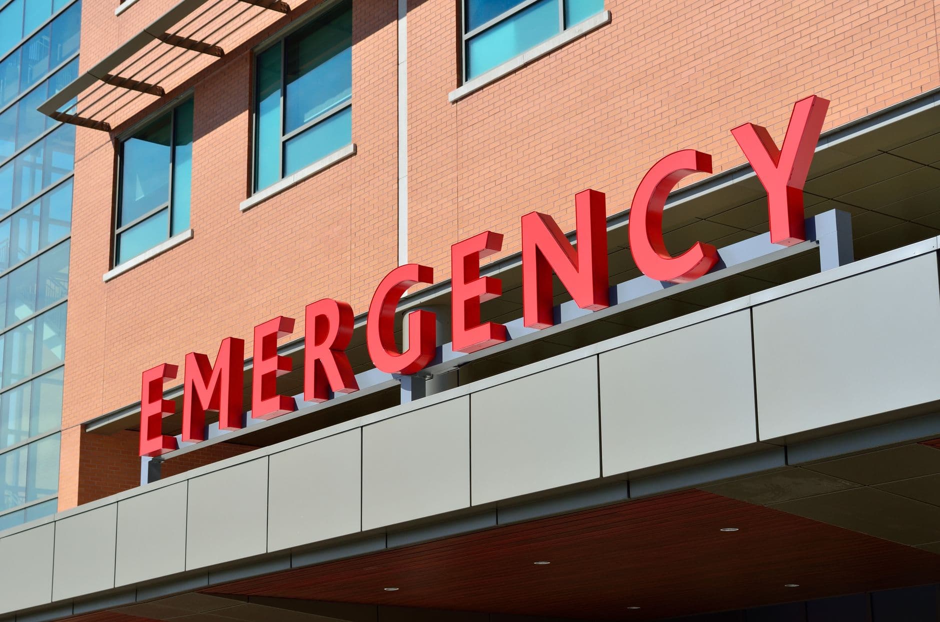 What Actually Counts as a Rabies Exposure?