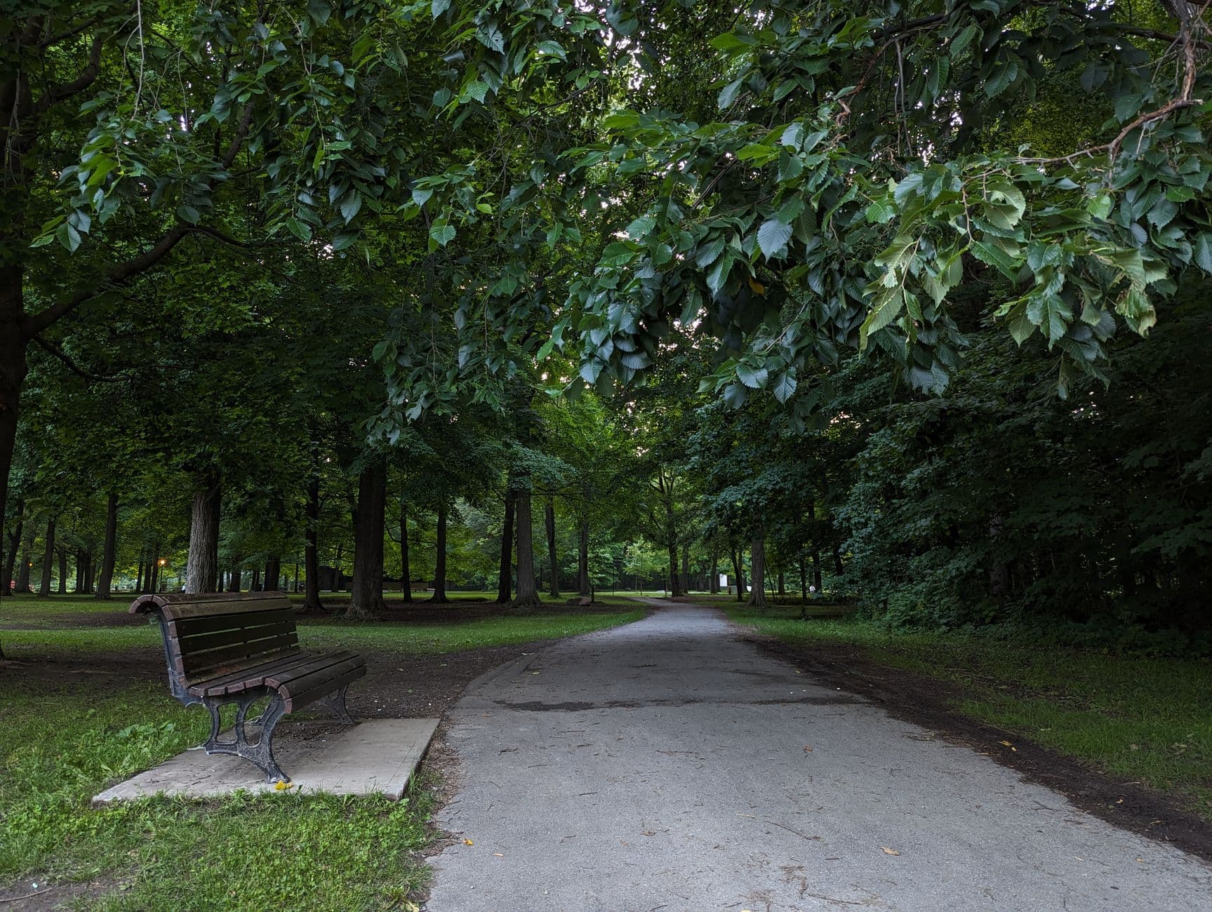 Can More Daylight Help Protect You From Dementia?